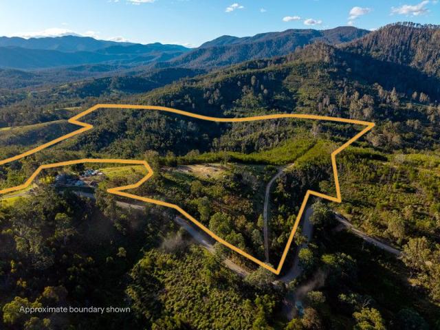 BUSHLAND ESCAPE