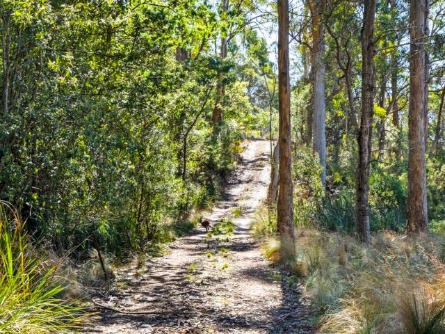 Bushland Retreat
