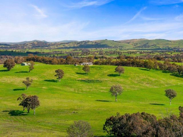 'Bushrangers' Space, Serenity and Strategic Positioning