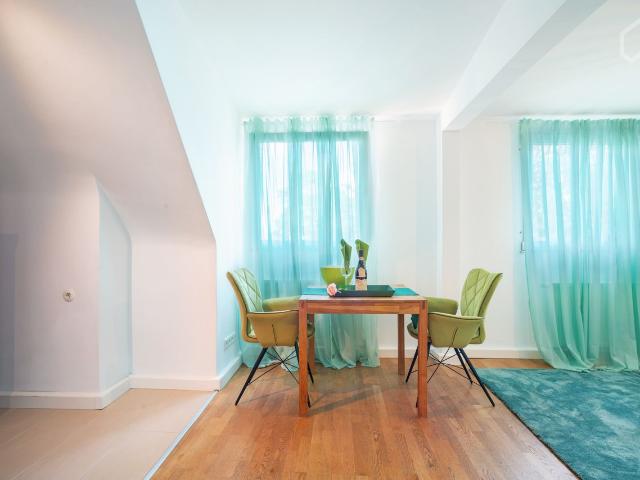 Business apartment, cleaning services are available, Dusseldorf Amsterdam Apartments for Rent