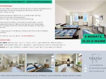 Business apartment for rent up to 6 person from 6 months