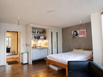 Business Apt Oberrath Desk, Monitor, Parking, Forest, Dusseldorf Amsterdam Apartments for Rent