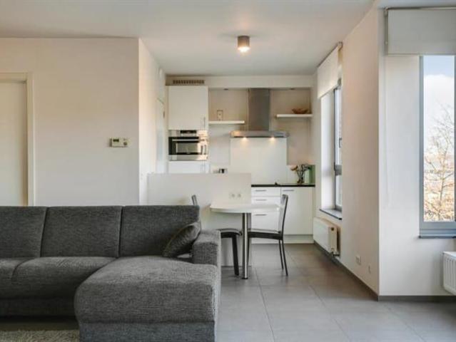 Business flat short or long term lease