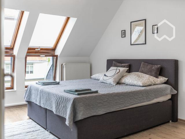 Business or leisure: nice for couples or singles: Sunny 2 room attic for relaxing hours, Leipzig Amsterdam Apartments for Rent