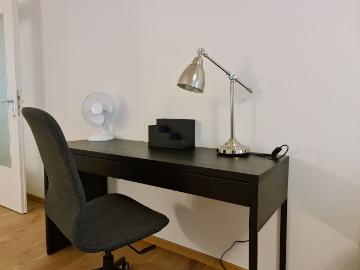 Radeberger Vorstadt, Wachwitz