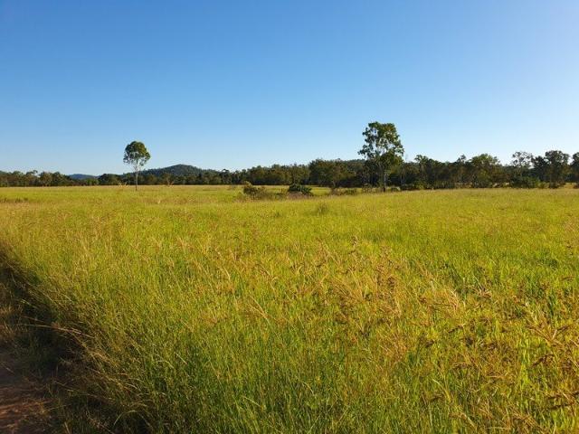 Buthurra Vale