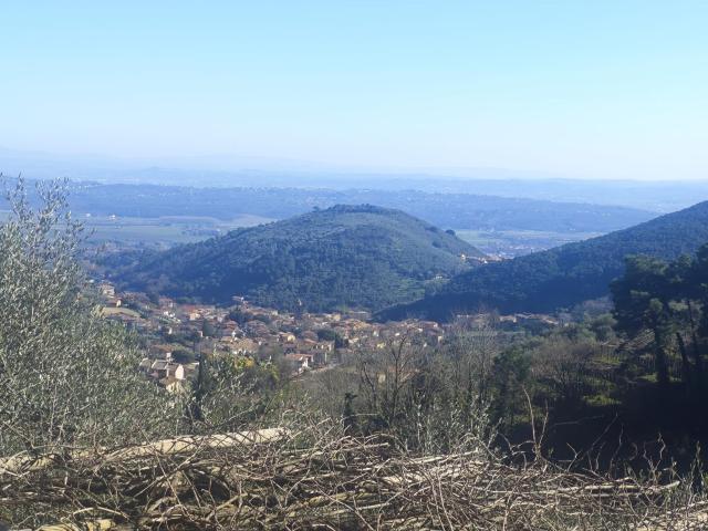 Buti: vendesi casolare con dependance terreno in posizione p. 312m² Buti