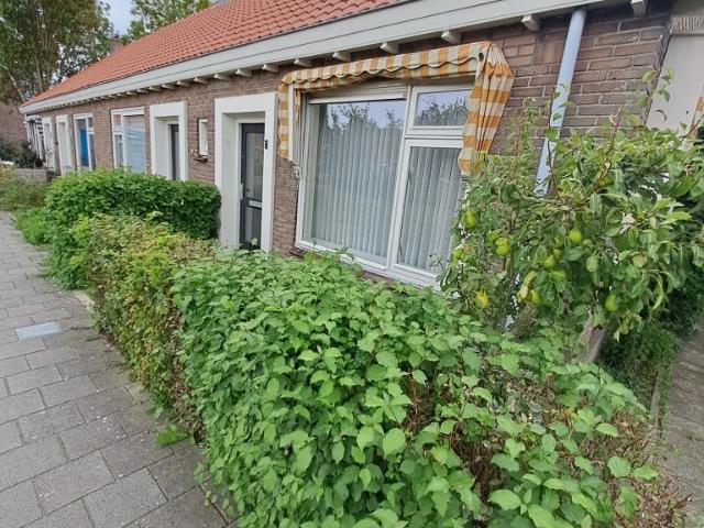 Buurtplein 1