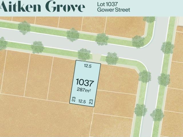 BUY IN MERRIFIELD TODAY!