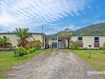 Rosebery, West Coast, Mount McCutcheon