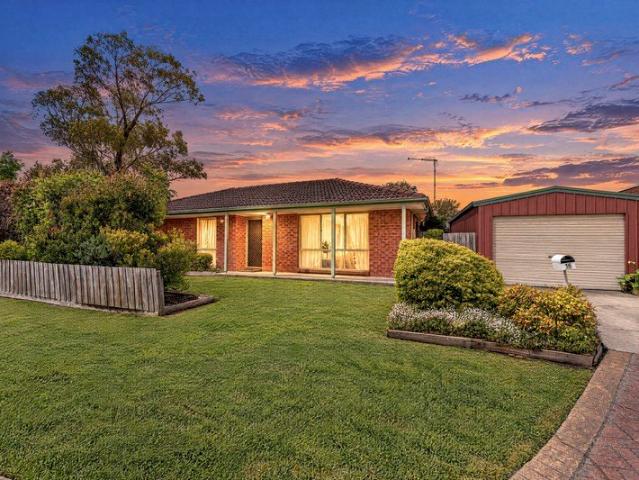 BUYING? DON'T FEAR, HOLT IS HERE!