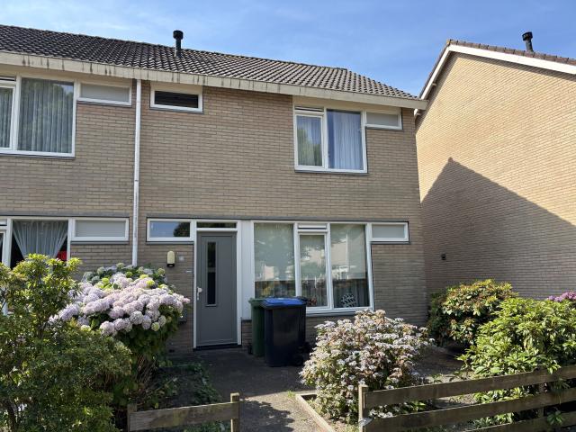 Buys Ballotstraat 30