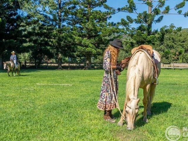 Byron Hinterland Living with Equestrian Excellence