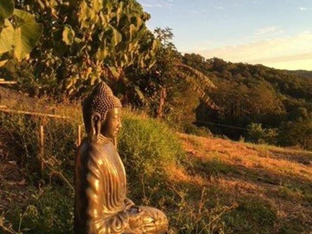 BYRON PARADISE RENTALS with WORK FOR RENT OPPORTUNITIES & BEAUTIFUL VIEWS from Mullumbimby Heights