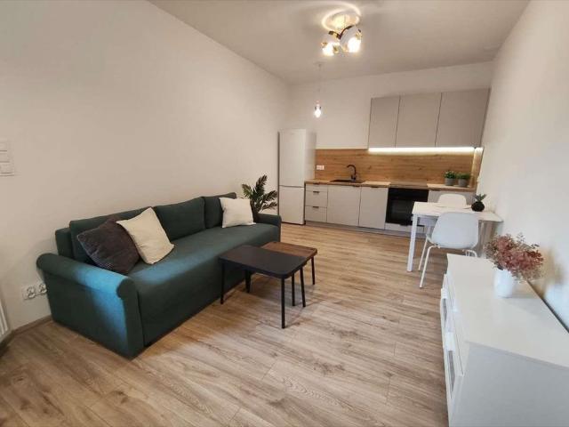Bytom, marsz. Józefa Piłsudskiego, 30 m2