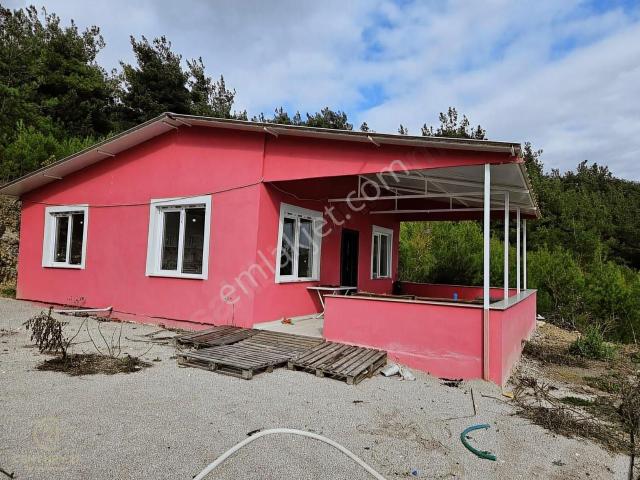 C21 Bal'dan Cinge Mah.de Satılık Müstakil Ev Ve 6 Dönüm Tarlası