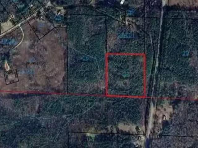 c OUNTY ROAD 13, LYNN, AL 35575