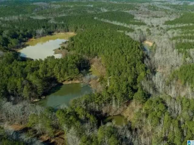 c OUNTY ROAD 44, BRILLIANT, AL 35548
