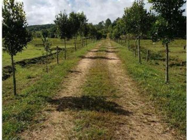 CC 55 601251112 1637