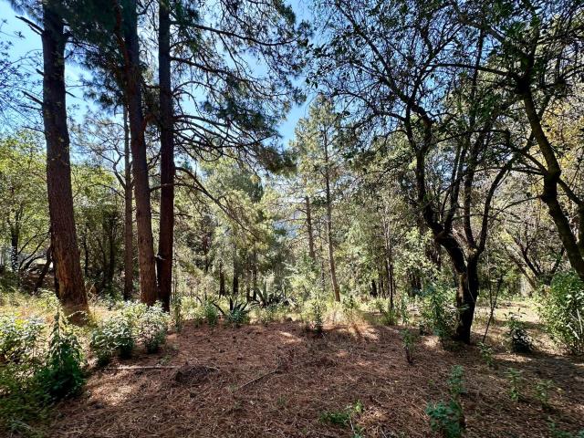 Ca?ada de Alferes terreno en venta