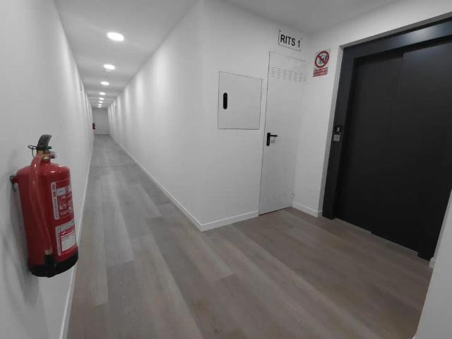 Camas