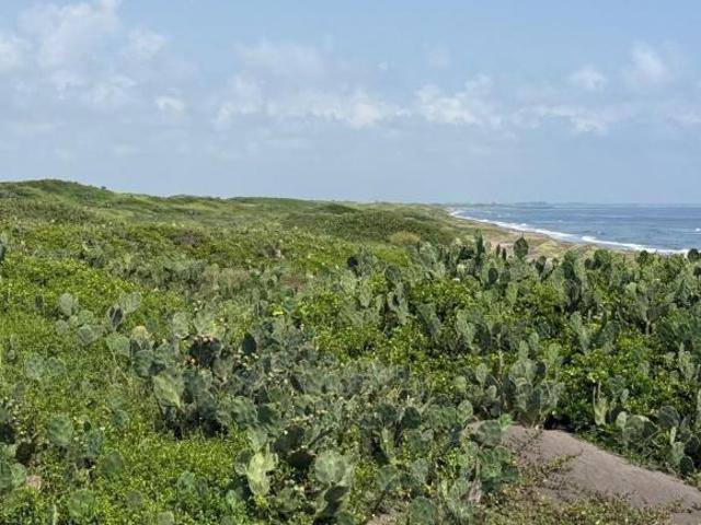 Camaronera, Terreno en VENTA en la playa de Alvarado
