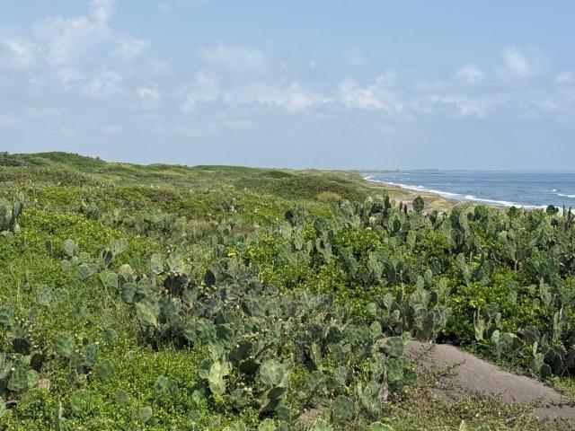 Camaronera, Terreno en VENTA en la playa de Alvarado