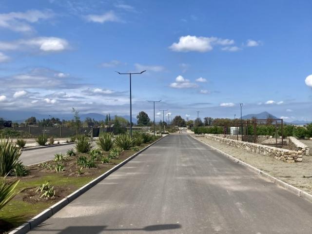 CAMINO EL ARPA