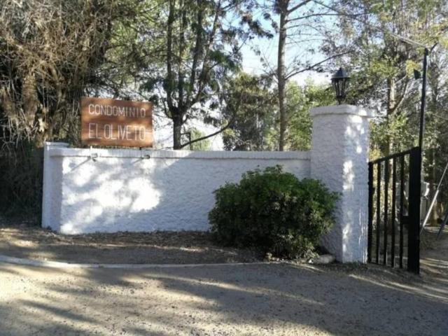 CAMINO EL OLIVETO