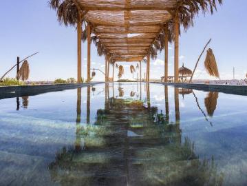 Camino Finca Don Virgilio