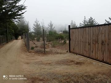 Camino Tunquen/Camino San José, Algarrobo