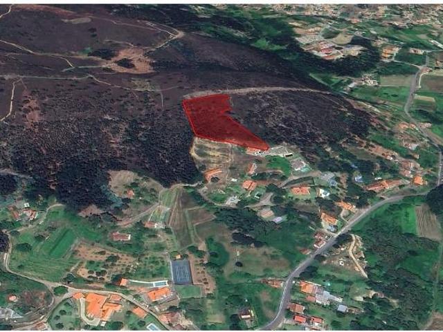 Caminha Caminha 104373553