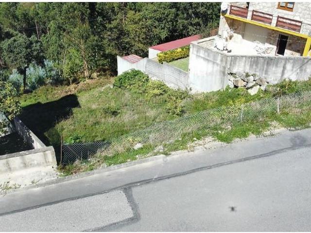 Caminha Caminha 104440188