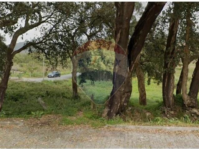 Caminha Caminha 104990150