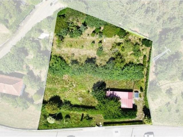 Caminha Caminha 105109856