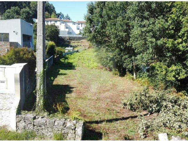 Caminha Caminha 105827433