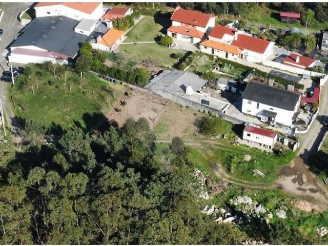 Caminha Caminha 102221489
