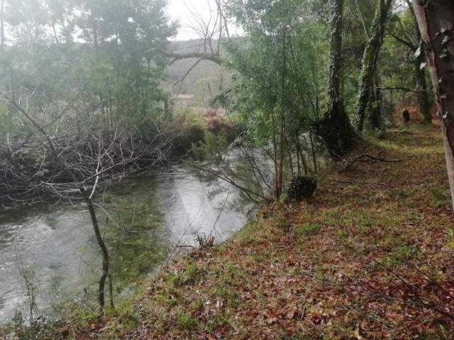 Caminha Caminha 102527008