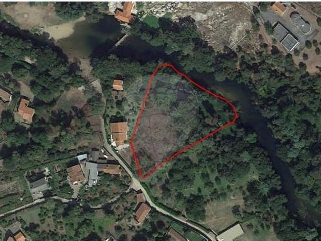 Caminha Caminha 102863976
