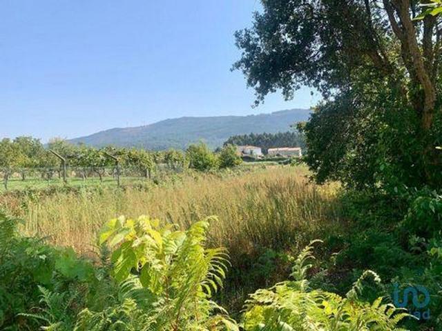 Caminha Viana Do Castelo 93946633