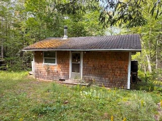 Camp Lot 17 Green Rd, Elgin, NB, E4Z 1T6 house for sale | Listing ID NB146934 | Royal LePage