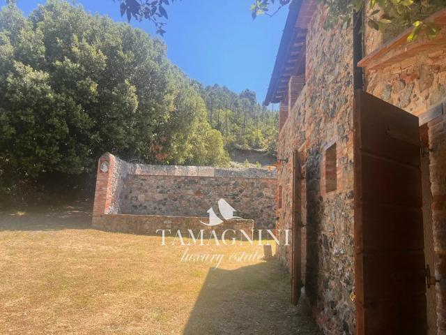 Campagna toscana bel casale ristrutturato con 60 ettari di t. 280m² Casole d'Elsa