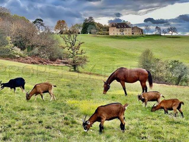 Campagne Aquitaine 24260 98172681