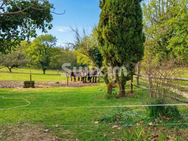 Campagne de Allan ferme rénovée et environ 17ha 190m² Allan