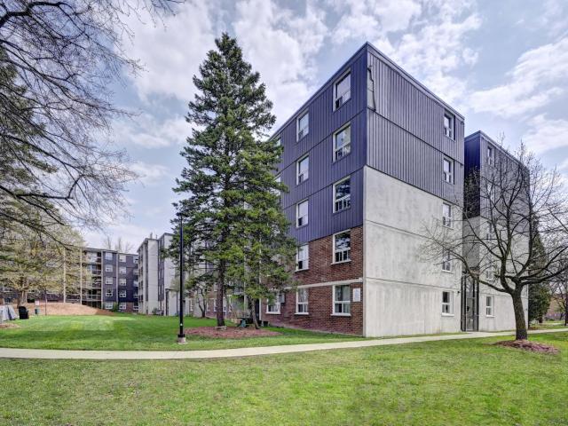 Campbell Court Apartments 3 Bedroom Apartment for Rent