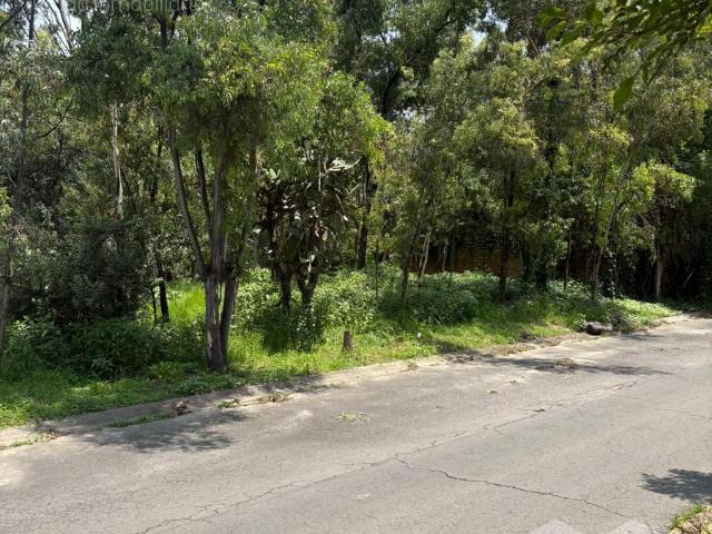 Campestre del Lago Terreno En Zona Residencial Con Vista al Lago