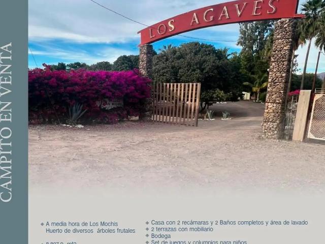 CAMPITO EN VENTA