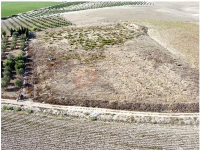 Campo vallado y con pozo