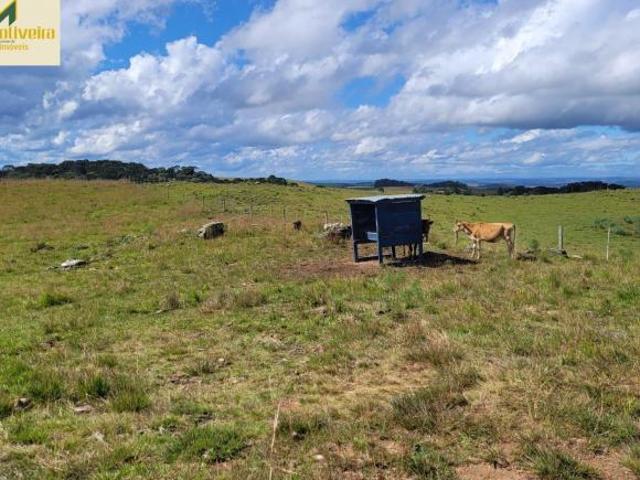 Campo a beira da Rota do Sol!