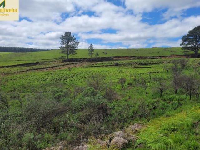 Campo com 29 há no asfalto!